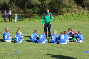 九游娱乐官方平台-瑞典团队战术：从快攻到慢球的多变打法，瑞典几分钟进球